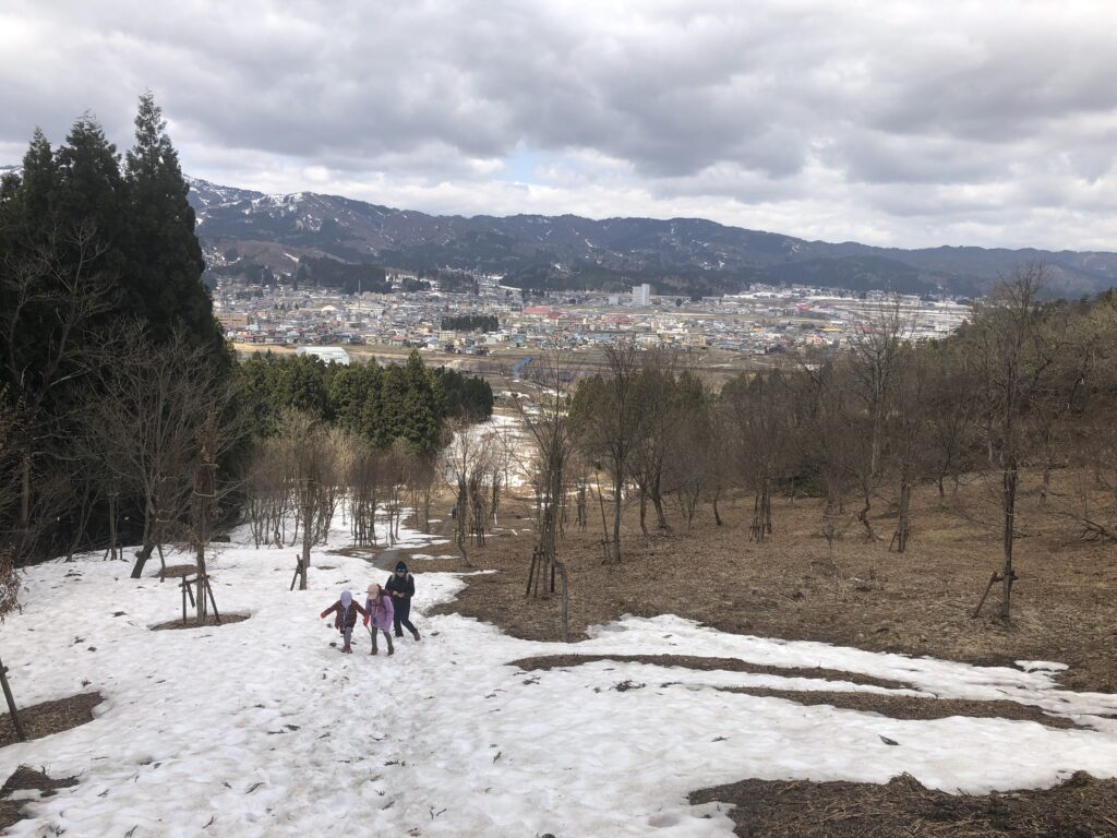 新潟県南魚沼市 坂戸山 かたくり群生地 登山 残雪 城坂コース
