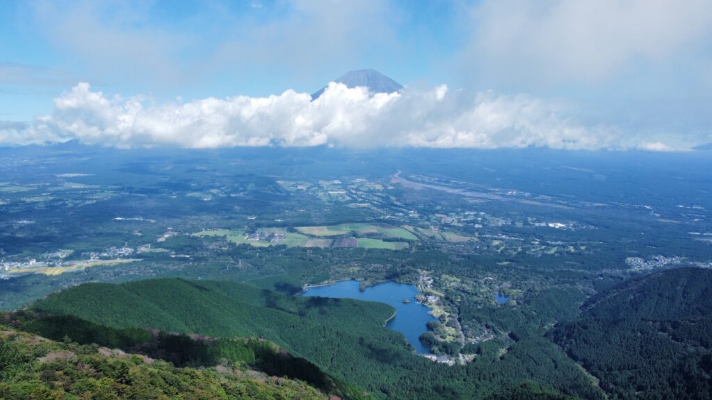 2021-9-1335m-1335m