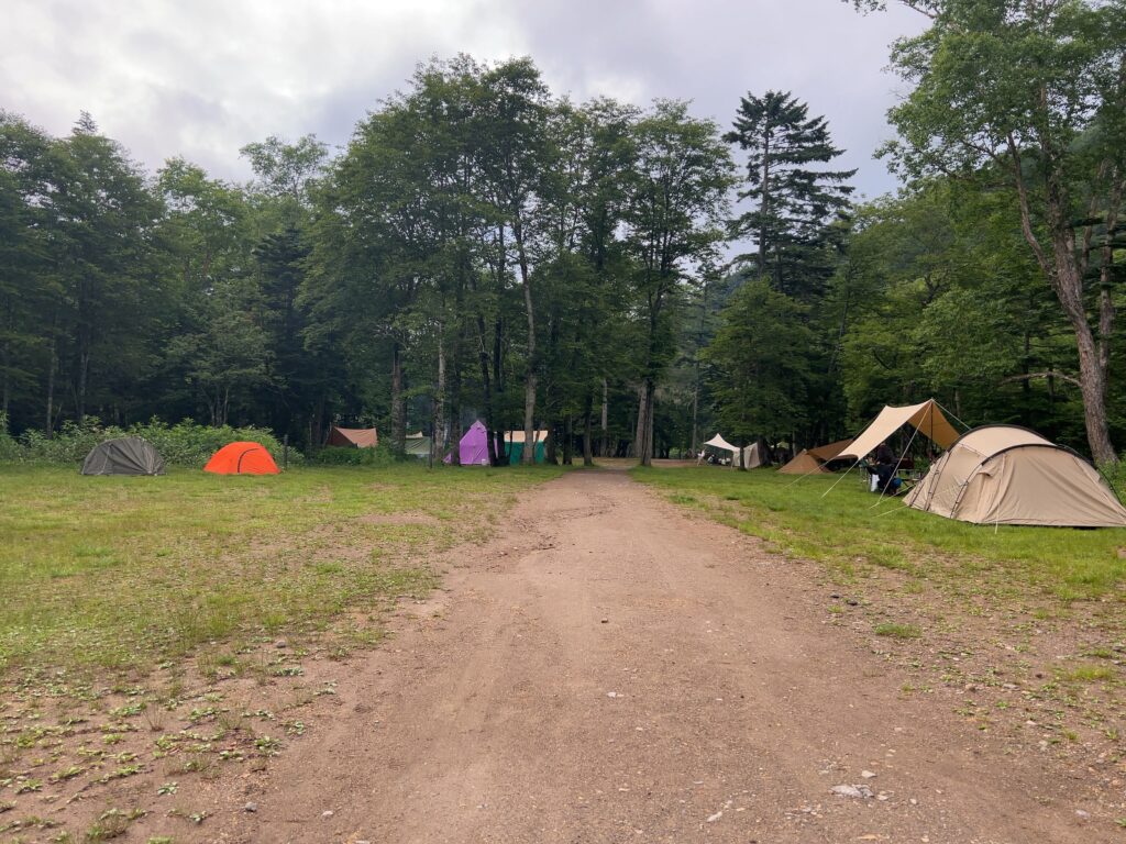 菅沼キャンプ場　テントサイト フリーサイト 